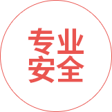 专业安全